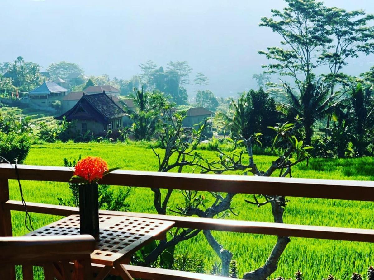 Noka Homestay 希德门 外观 照片