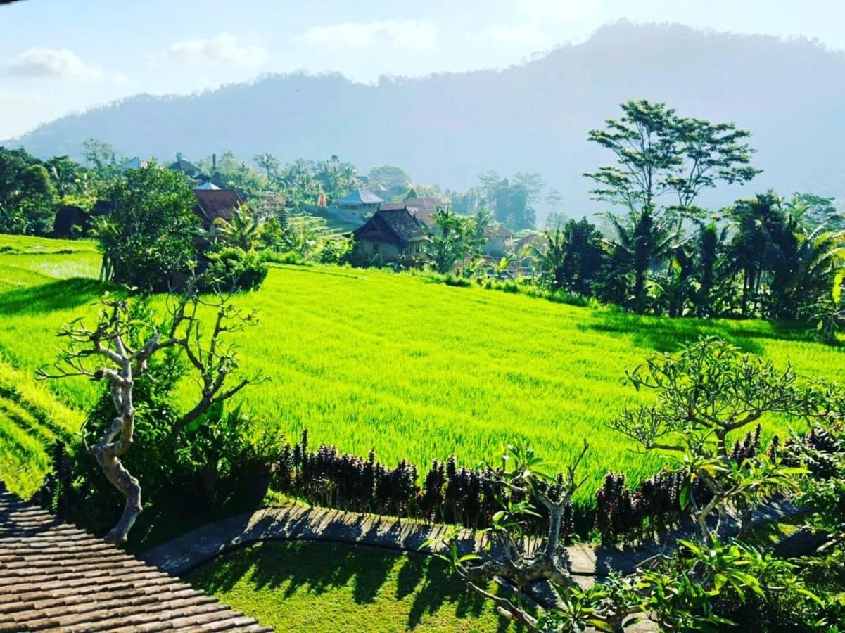 Noka Homestay 希德门 外观 照片